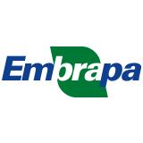 AVEIA PRETA - EMBRAPA 139